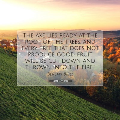 Picture 07 - Luke 3:9 BSB - The axe lies ready at the root of the trees, and - Bible Verse Picture