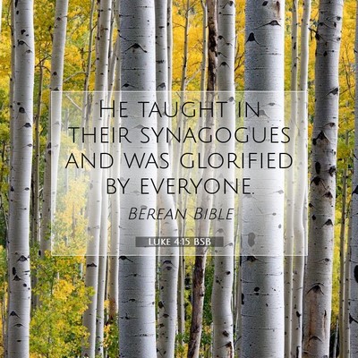 Picture 07 - Luke 4:15 BSB - He taught in their synagogues and was glorified - Bible Verse Picture