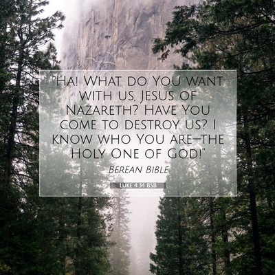 Picture 07 - Luke 4:34 BSB - “Ha! What do You want with us, Jesus of - Bible Verse Picture