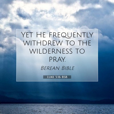 Picture 07 - Luke 5:16 BSB - Yet He frequently withdrew to the wilderness to - Bible Verse Picture