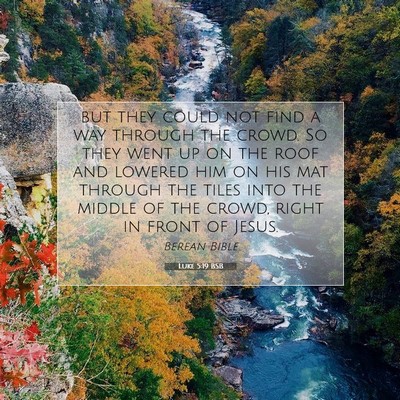 Picture 07 - Luke 5:19 BSB - but they could not find a way through the crowd. - Bible Verse Picture