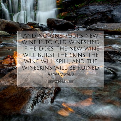 Picture 07 - Luke 5:37 BSB - And no one pours new wine into old wineskins. If - Bible Verse Picture