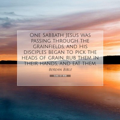 Picture 07 - Luke 6:1 BSB - One Sabbath Jesus was passing through the - Bible Verse Picture