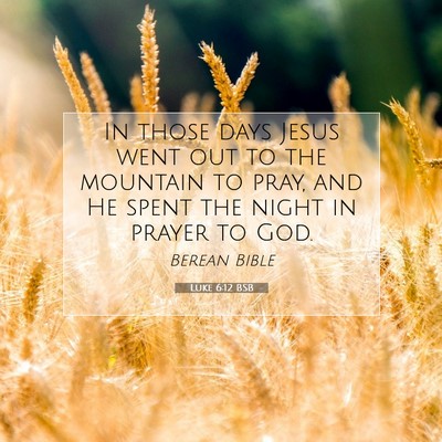 Picture 07 - Luke 6:12 BSB - In those days Jesus went out to the mountain to - Bible Verse Picture