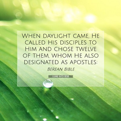 Picture 07 - Luke 6:13 BSB - When daylight came, He called His disciples to - Bible Verse Picture