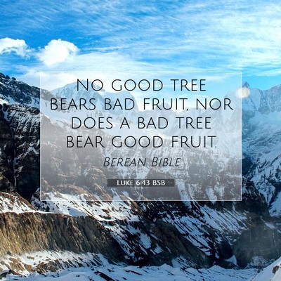 Picture 07 - Luke 6:43 BSB - No good tree bears bad fruit, nor does a bad tree - Bible Verse Picture