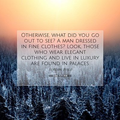 Picture 07 - Luke 7:25 BSB - Otherwise, what did you go out to see? A man - Bible Verse Picture
