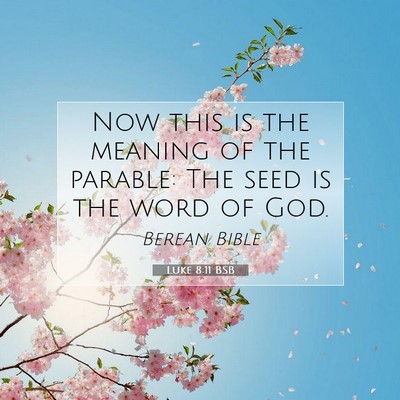 Picture 07 - Luke 8:11 BSB - Now this is the meaning of the parable: The seed - Bible Verse Picture