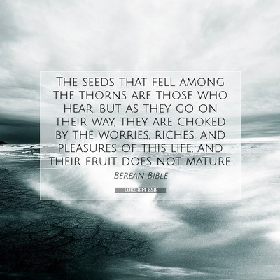 Picture 07 - Luke 8:14 BSB - The seeds that fell among the thorns are those - Bible Verse Picture