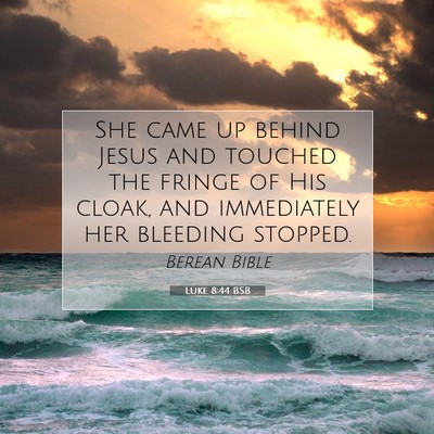 Picture 07 - Luke 8:44 BSB - She came up behind Jesus and touched the fringe - Bible Verse Picture