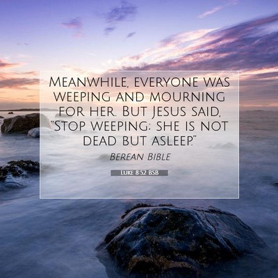 Picture 07 - Luke 8:52 BSB - Meanwhile, everyone was weeping and mourning for - Bible Verse Picture