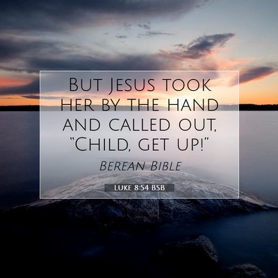 Picture 07 - Luke 8:54 BSB - But Jesus took her by the hand and called out, - Bible Verse Picture