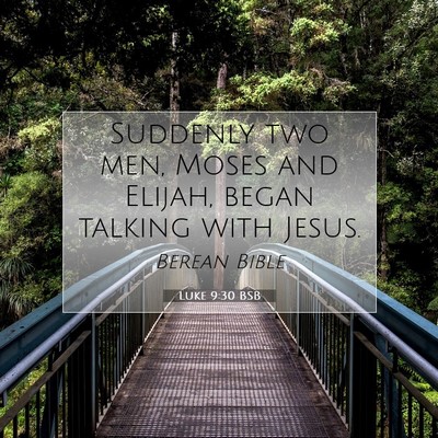 Picture 07 - Luke 9:30 BSB - Suddenly two men, Moses and Elijah, began talking - Bible Verse Picture