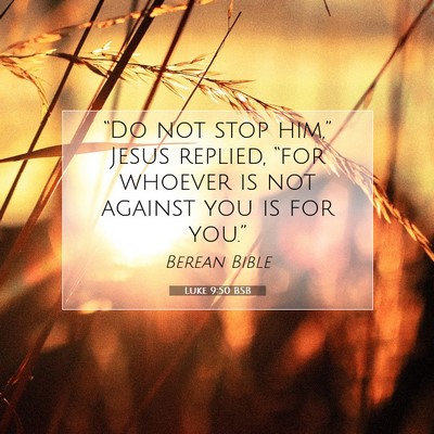Picture 07 - Luke 9:50 BSB - “Do not stop him,” Jesus replied, “for - Bible Verse Picture