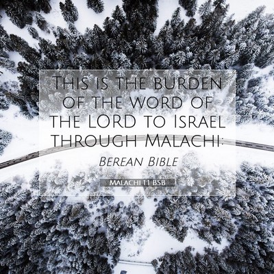 Picture 07 - Malachi 1:1 BSB - This is the burden of the word of the LORD to - Bible Verse Picture