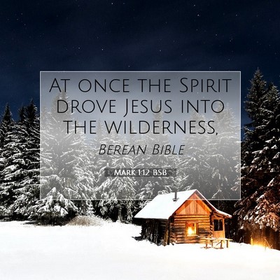 Picture 07 - Mark 1:12 BSB - At once the Spirit drove Jesus into the - Bible Verse Picture