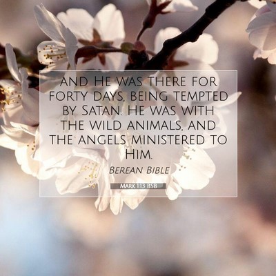 Picture 07 - Mark 1:13 BSB - and He was there for forty days, being tempted by - Bible Verse Picture