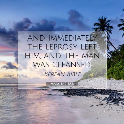 Picture 07 - Mark 1:42 BSB - And immediately the leprosy left him, and the man - Bible Verse Picture