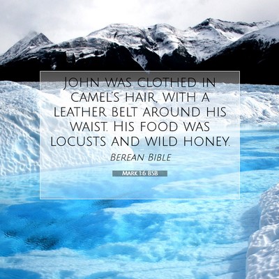 Picture 07 - Mark 1:6 BSB - John was clothed in camel’s hair, with a - Bible Verse Picture