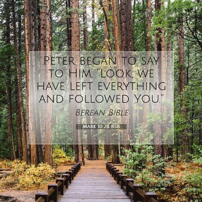 Picture 07 - Mark 10:28 BSB - Peter began to say to Him, “Look, we have left - Bible Verse Picture