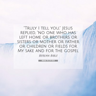 Picture 07 - Mark 10:29 BSB - “Truly I tell you,” Jesus replied, “no one - Bible Verse Picture