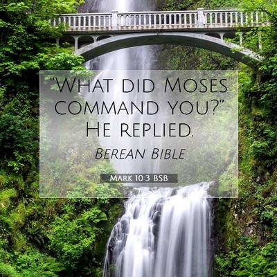 Picture 07 - Mark 10:3 BSB - “What did Moses command you?” He - Bible Verse Picture