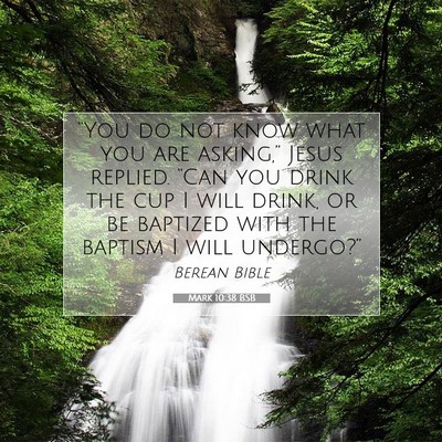 Picture 07 - Mark 10:38 BSB - “You do not know what you are asking,” Jesus - Bible Verse Picture