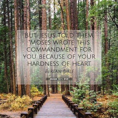 Picture 07 - Mark 10:5 BSB - But Jesus told them, “Moses wrote this - Bible Verse Picture