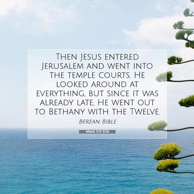 Picture 07 - Mark 11:11 BSB - Then Jesus entered Jerusalem and went into the - Bible Verse Picture