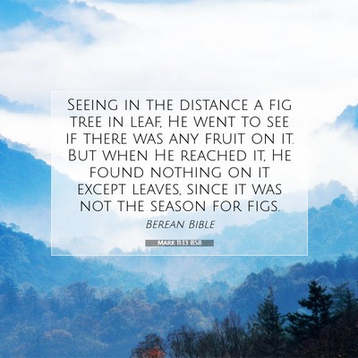 Picture 07 - Mark 11:13 BSB - Seeing in the distance a fig tree in leaf, He - Bible Verse Picture