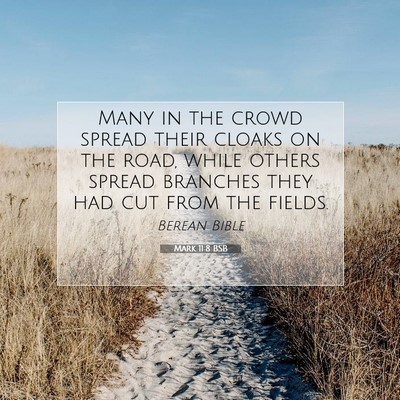 Picture 07 - Mark 11:8 BSB - Many in the crowd spread their cloaks on the - Bible Verse Picture