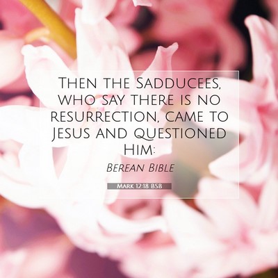 Picture 07 - Mark 12:18 BSB - Then the Sadducees, who say there is no - Bible Verse Picture