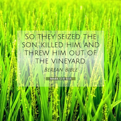 Picture 07 - Mark 12:8 BSB - So they seized the son, killed him, and threw him - Bible Verse Picture