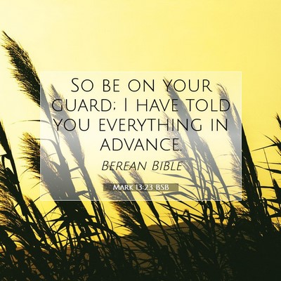 Picture 07 - Mark 13:23 BSB - So be on your guard; I have told you everything - Bible Verse Picture
