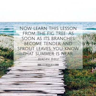Picture 07 - Mark 13:28 BSB - Now learn this lesson from the fig tree: As soon - Bible Verse Picture
