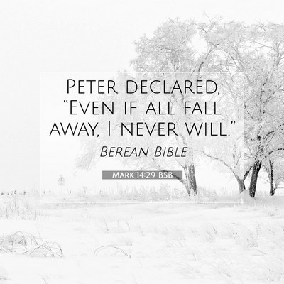 Picture 07 - Mark 14:29 BSB - Peter declared, “Even if all fall away, I never - Bible Verse Picture