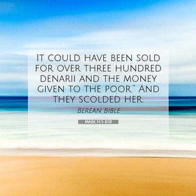 Picture 07 - Mark 14:5 BSB - It could have been sold for over three hundred - Bible Verse Picture