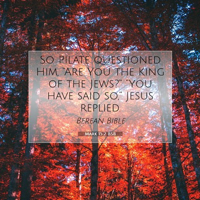 Picture 07 - Mark 15:2 BSB - So Pilate questioned Him, “Are You the King of - Bible Verse Picture