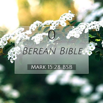 Picture 07 - Mark 15:28 BSB -  - Bible Verse Picture