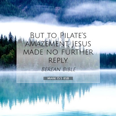 Picture 07 - Mark 15:5 BSB - But to Pilate’s amazement, Jesus made no - Bible Verse Picture