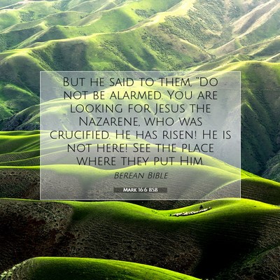 Picture 07 - Mark 16:6 BSB - But he said to them, “Do not be alarmed. You - Bible Verse Picture