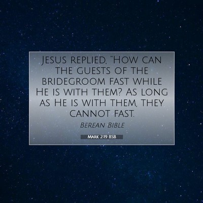 Picture 07 - Mark 2:19 BSB - Jesus replied, “How can the guests of the - Bible Verse Picture