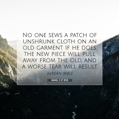 Picture 07 - Mark 2:21 BSB - No one sews a patch of unshrunk cloth on an old - Bible Verse Picture