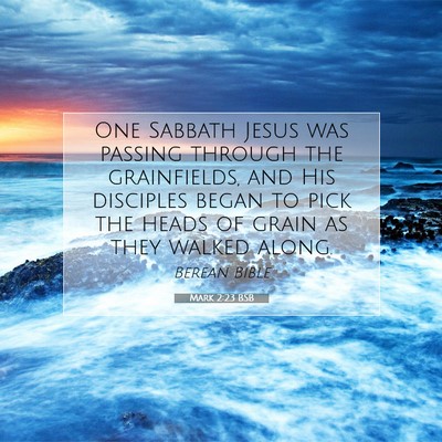 Picture 07 - Mark 2:23 BSB - One Sabbath Jesus was passing through the - Bible Verse Picture
