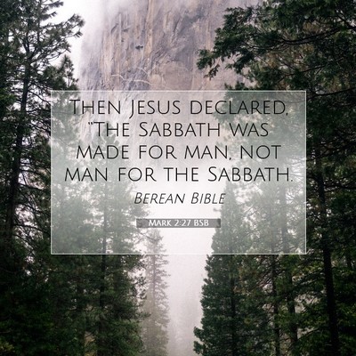 Picture 07 - Mark 2:27 BSB - Then Jesus declared, “The Sabbath was made for - Bible Verse Picture