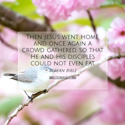 Picture 07 - Mark 3:20 BSB - Then Jesus went home, and once again a crowd - Bible Verse Picture