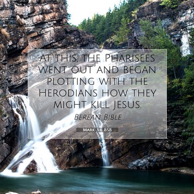 Picture 07 - Mark 3:6 BSB - At this, the Pharisees went out and began - Bible Verse Picture