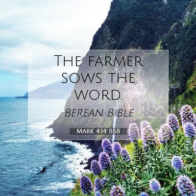 Picture 07 - Mark 4:14 BSB - The farmer sows the - Bible Verse Picture