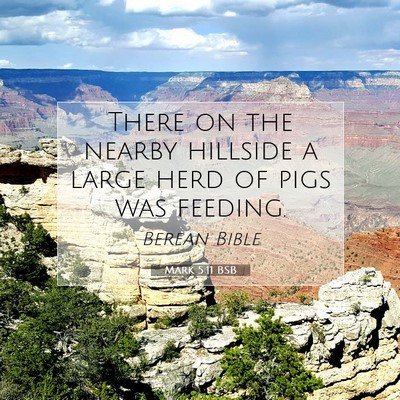 Picture 07 - Mark 5:11 BSB - There on the nearby hillside a large herd of pigs - Bible Verse Picture