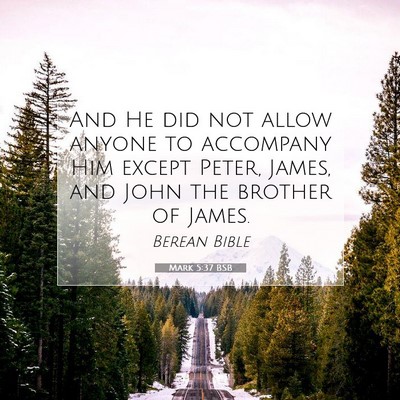 Picture 07 - Mark 5:37 BSB - And He did not allow anyone to accompany Him - Bible Verse Picture